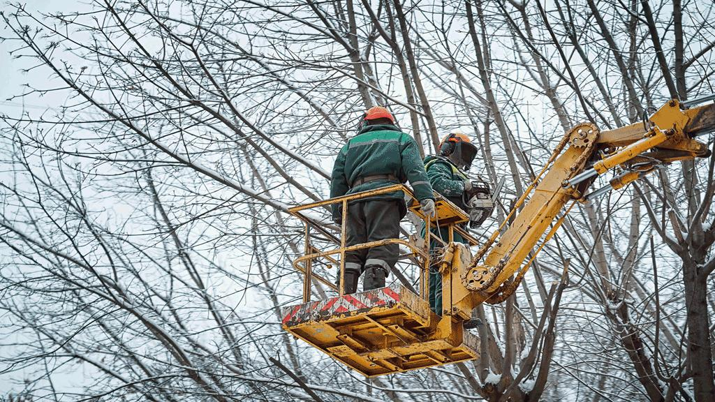 Cover photo of Miller Tree Company - Tree Service